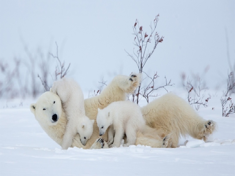 试管腹水治疗时间（泡澡影响试管吗）