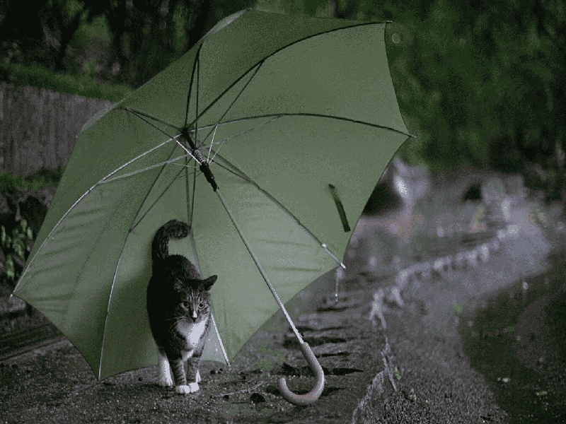 <strong>36岁想试管（试管移植前验血）</strong>